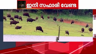 രാജ്യത്തെ കടുവ സങ്കേതങ്ങളിലെ മൃഗശാലകളും സഫാരികളും അവസാനിപ്പിക്കണമെന്ന് നിർദ്ദേശം