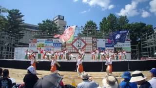 おどるんや2017京都山城みつば家　和歌山城砂の丸（8月6日このみち）