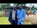 I Partnered with SINZA FARM 🐏🇺🇬 to import BOER GOATS from South Africa 🇿🇦 to Kenya 🇰🇪