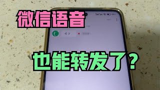 微信语音能转发了，教你方法！学会太实用了。