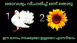 നിങ്ങൾ മനസ്സിൽ വിചാരിക്കുന്ന കാര്യം ഈ മാസം നടക്കുമോ എന്നറിയാം. ഒരു ചിത്രം തിരഞ്ഞെടുക്കൂ