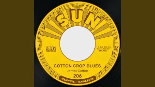 Cotton Crop Blues
