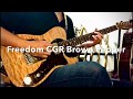 FREEDOM CGR  ‘’Brown pepper’’ Custom Order Moder