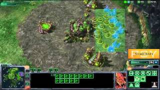 SC2 HD #139 PsY[Z] vs PainUser[T]