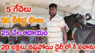 5 గేదెలతో నెలకి 25 వేల ఆదాయం | Successful  Dairy Farming | 20 లక్షలు నష్టపోయి వచ్చాను | Raithanna