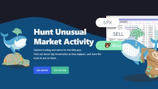 In-depth Unusual Whales Alert Strategy