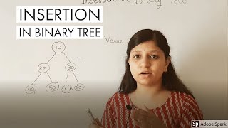 Insertion in binary tree | Python | Data Structure interview questions | Chapter 7 - part 4