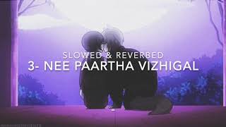 Nee Partha Vizhigal - Slowed and Reverbed .