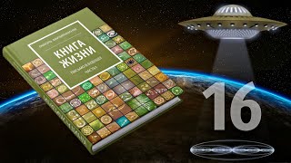 Книга Жизни. Письмо в будущее. Часть 1. Рафаэль Файзирахманов [305-319 стр]