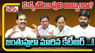 కుక్క పోయి పులి అయ్యిందా? జంతువులా మారిన కేటీఆర్ ...!! | Telangana Vittal Shocking Comments On KTR