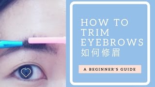 [美妝] 如何修眉 韓國流行自然眉型 一字眉OUT風 - DIY - How to Trim Eyebrows│allyheartslife