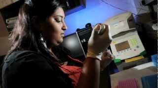 CU-Boulder student Ani Reddy and her experience with biology at CU