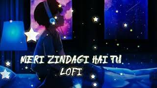 Meri Zindagi Hai Tu Lofi [ Slowed + Reverb ] - Jubin Nautiyal, Neeti Mohan | Feel The Song