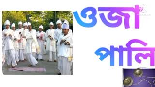 Ojapali // ওজাপালি //Bhularam Das \u0026 pty