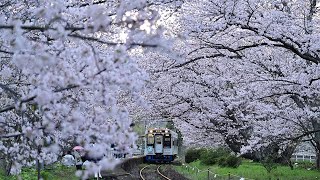 『鉄フォト』松浦鉄道（佐賀、長崎県）