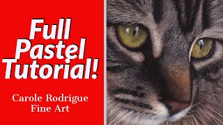Full Tutorial - How to Paint Cat Eyes and Fur in Pastels