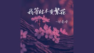 我等枯木变繁花