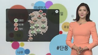 [날씨트리] 주말 맑고 큰 일교차…일요일 미세먼지 주의 / 연합뉴스TV (YonhapnewsTV)