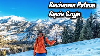 RUSINOWA POLANA przez GĘSIĄ SZYJE z Brzezin i powrót do Wiktorówek/Zazadniej #rusinowapolana #tatry