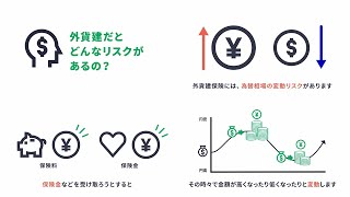 ナゼ？ナニ？ガイカ Vol.2  「外貨建だとどんなリスクがあるの？」​ │ マニュライフ生命