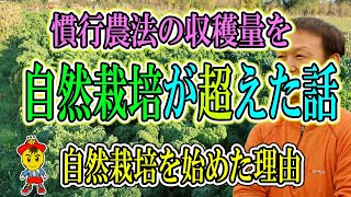 【自然栽培45】自然栽培を始めた時の体験談！！それから20年以上たって変わった事！！自然農法の凄さを体験！！