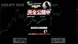 FXで年利40％を安定して稼ぐSHOHEI流FXを公開中！