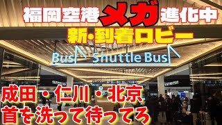 【緊急ノーナレ】神すぎる。もはや福岡ではない。福岡空港国際線ターミナル到着ロビーがエグい!!成長を遂げる。見なきゃ損。