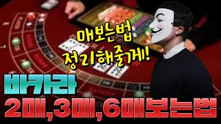 바카라 2매3매6매 보는방법은?!