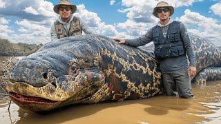 The 20 Largest Amazon Monsters Ever Caught on Camera!
