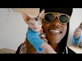 iAmMoshow - Cat World (Official Video)