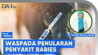 Waspada Penularan Penyakit Rabies | Bincang Sehati