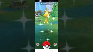 Shiny Buizel ブイゼル caught ！ 色違泳圈鼬