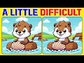 🧠🧩Spot the Difference | Brain Workout 《A Little Difficult》