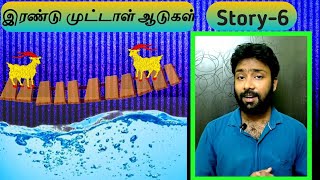 இரண்டு முட்டாள் ஆடுகள் | story-6 | Short story | anything something