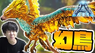 幻の鳥『フェニックス』に襲われてしまう...-PART17-【ark survival evolved(Genesis)】