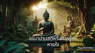 สรุปคำสอนของพระพุทธเจ้า | Buddha Teaching | Story Teller | Story #buddhaquotes #buddhism #buddhaquot