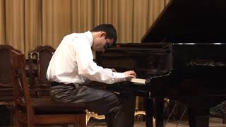 Franz Schubert Piano sonata D.960 I. Molto moderato(Levon Karapetyan)