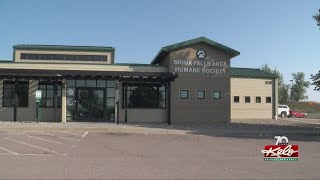 Area shelters caring for animals seized from Brookings family