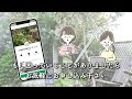 【ほったらかしok】日陰〜半日陰で手間のかからない植物🌿9品種紹介❗️ずぼらガーデニングで大活躍