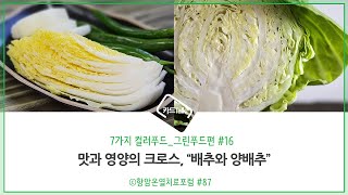 7가지컬러푸드 #16 배추와 양배추(그린푸드의 효능)by항암온열치료포럼