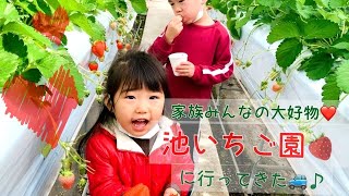 【福岡】池いちご園に行ってきた🍓