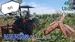 ผานขุดมันระบบปั่น PTO ขุดมันรกๆ ก็เอาอยู่ ผลผลิตไม่เสียหาย / 5050D / แทรกเตอร์ นัฐ