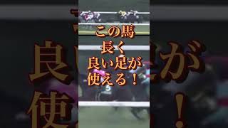 2023 東京新聞杯　相手は穴でいく！！