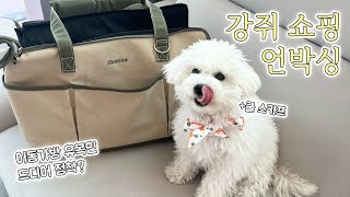 vlog | 사회성 제로 강아지의 첫 애견운동장 실패썰... ☹️ 큰맘먹고 산 리카백 강아지 이동가방 언박싱 🎁