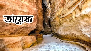 ★ তায়েফের সেই মর্মান্তিক কাহিনী || Prophet ﷺ Taif History in Islam