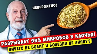 Вы даже НЕ представляете на что способен РОЗМАРИН... Даже хирург не поверил своим глазам!