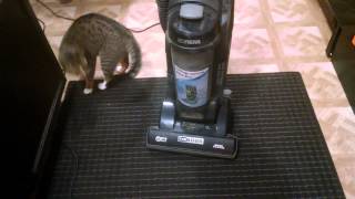 New vacuum: Eureka The Boss