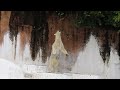 立ち上がるホウちゃん【天王寺動物園】