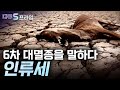 [다큐S프라임] 인류는 지구의 환경을 어떻게 바꾸어 놓았을까? / YTN 사이언스