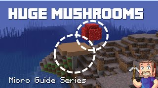 Huge Mushrooms - Minecraft Micro Guide